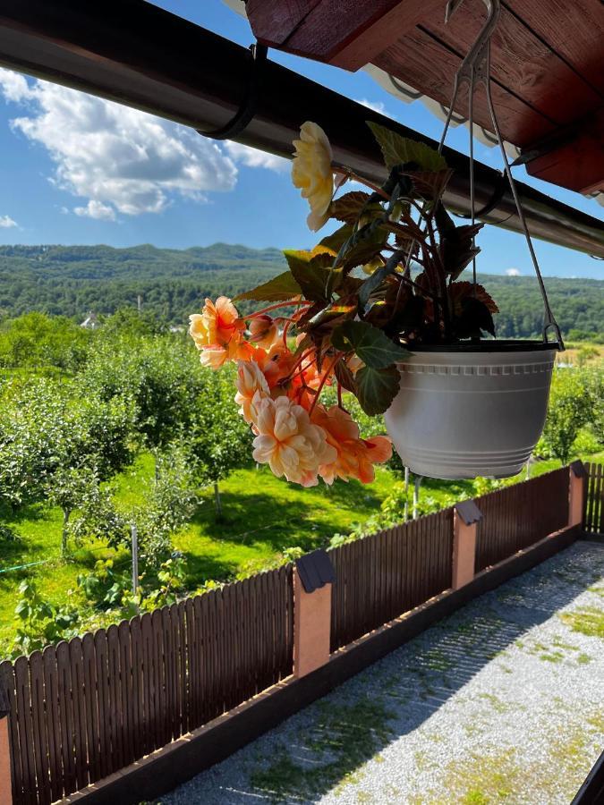 Hotel Casa De Vacanta Orsi Sovata Exteriér fotografie